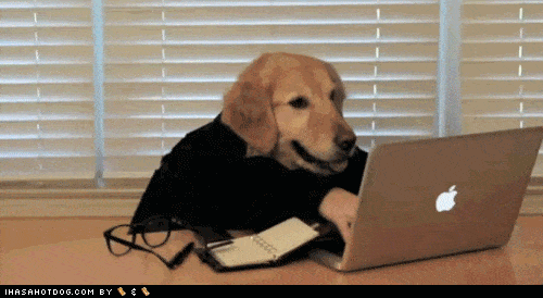 Typing Dog